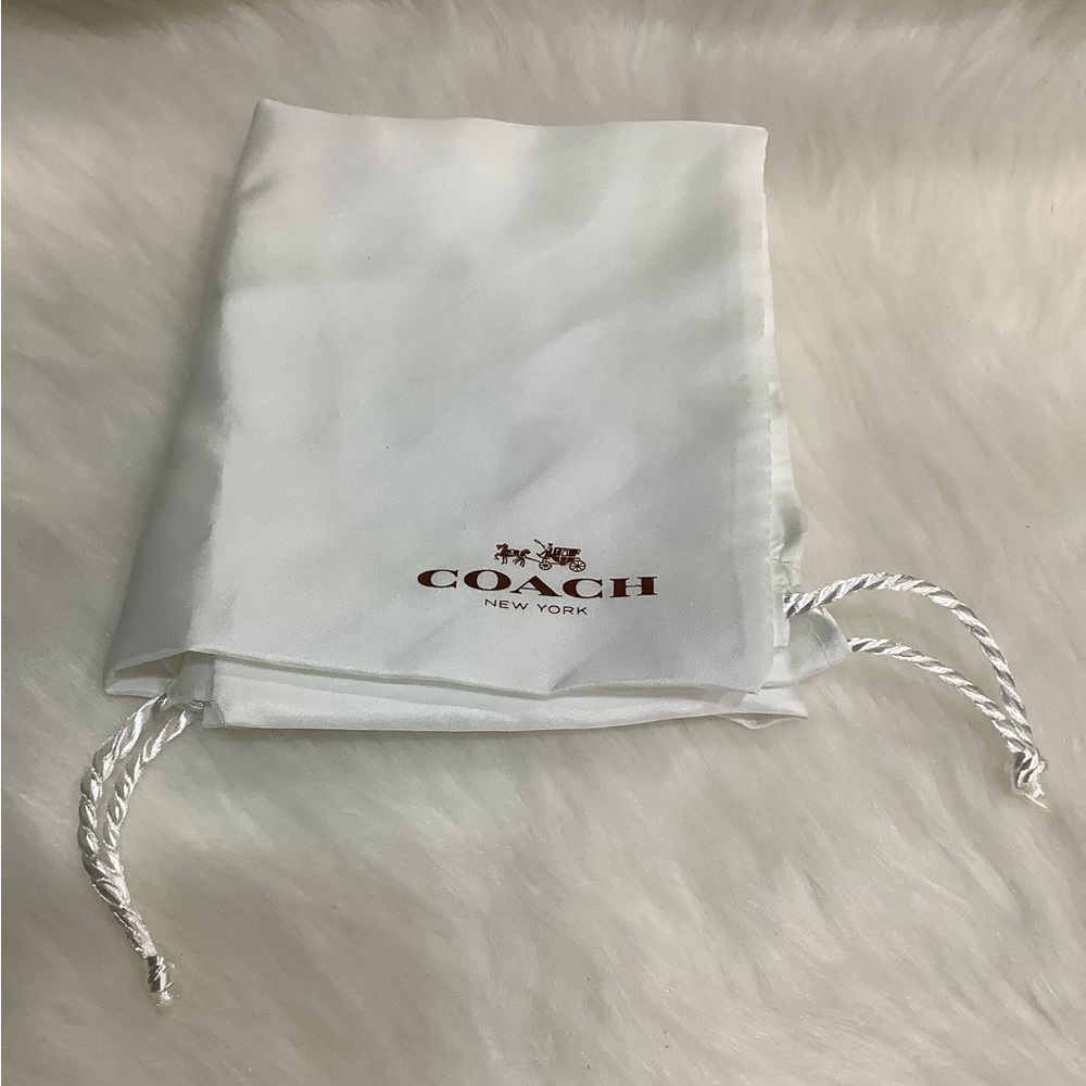 Medium 👛 Coach Satin Dust Dag